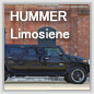 ハマーH2リムジン HUMMER H2 Limousine “ハマーH2リムジンタイプG/ハマーH2リムジンタイプS/ハマーH2リムジンラグジュアリーPKG/ハマーH2リムジンアドベンチャー/ハマーH2リムジンSUT”