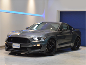 2017年モデル 新車並行輸入車 フォード マスタング シェルビー GT350
